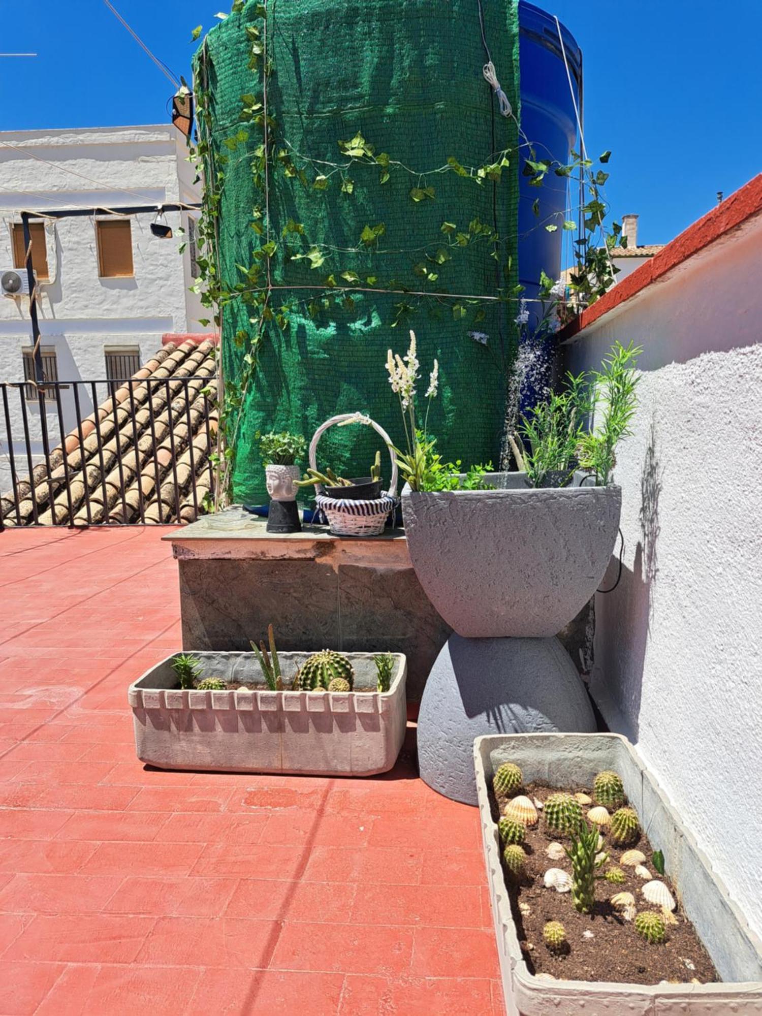 Casa Paloma Apartment Jaén Екстериор снимка